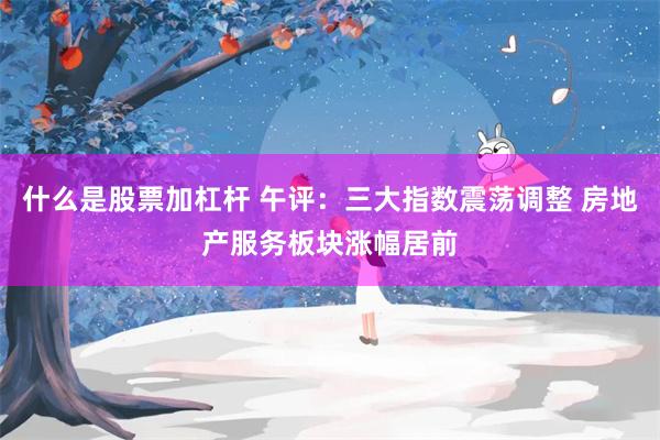 什么是股票加杠杆 午评：三大指数震荡调整 房地产服务板块涨幅居前