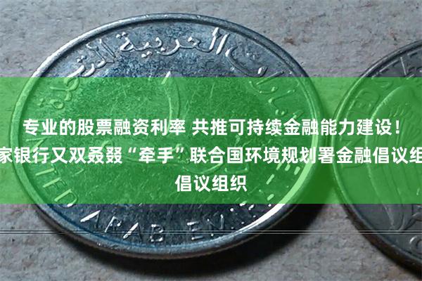 专业的股票融资利率 共推可持续金融能力建设！这家银行又双叒叕“牵手”联合国环境规划署金融倡议组织