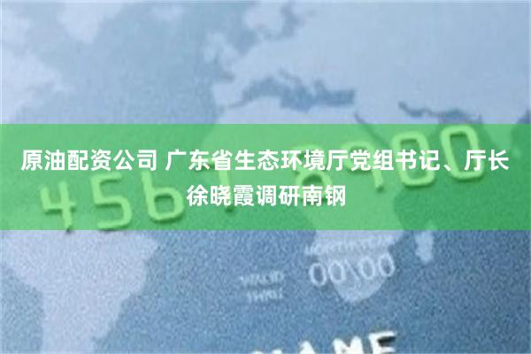 原油配资公司 广东省生态环境厅党组书记、厅长徐晓霞调研南钢