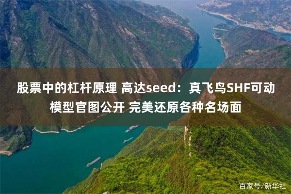 股票中的杠杆原理 高达seed：真飞鸟SHF可动模型官图公开 完美还原各种名场面