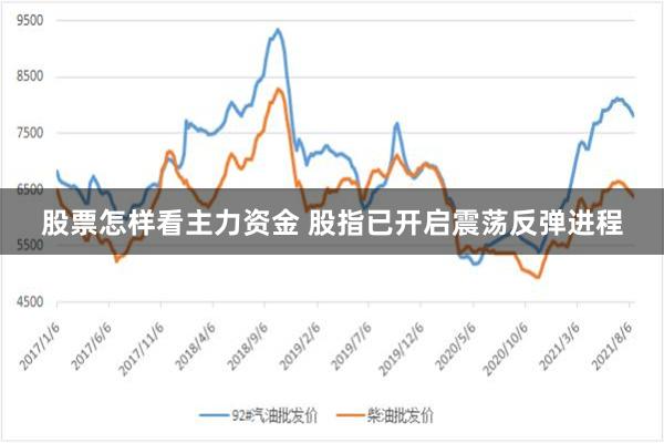 股票怎样看主力资金 股指已开启震荡反弹进程