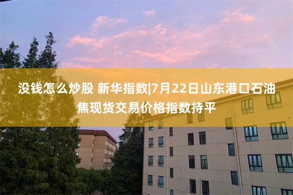 没钱怎么炒股 新华指数|7月22日山东港口石油焦现货交易价格指数持平