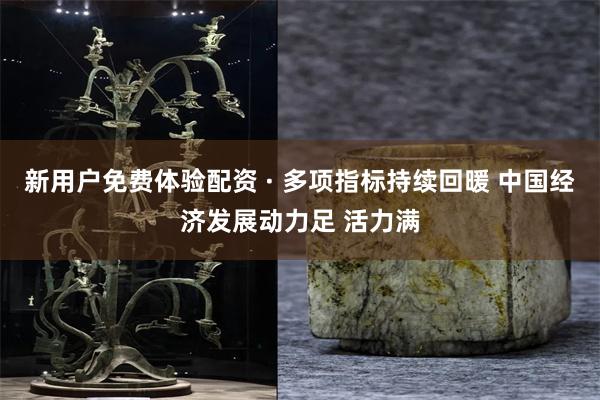 新用户免费体验配资 · 多项指标持续回暖 中国经济发展动力足 活力满