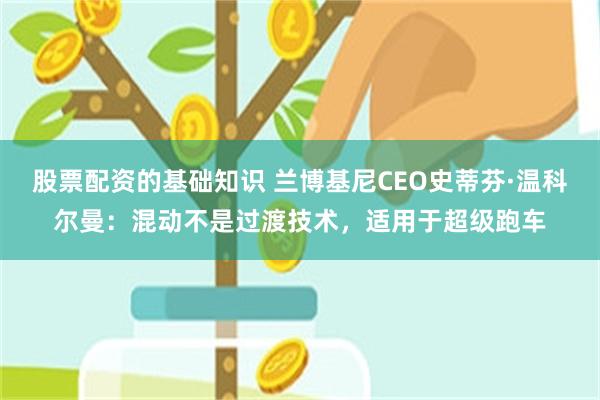 股票配资的基础知识 兰博基尼CEO史蒂芬·温科尔曼：混动不是过渡技术，适用于超级跑车