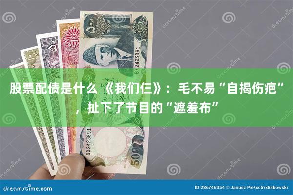 股票配债是什么 《我们仨》：毛不易“自揭伤疤”，扯下了节目的“遮羞布”