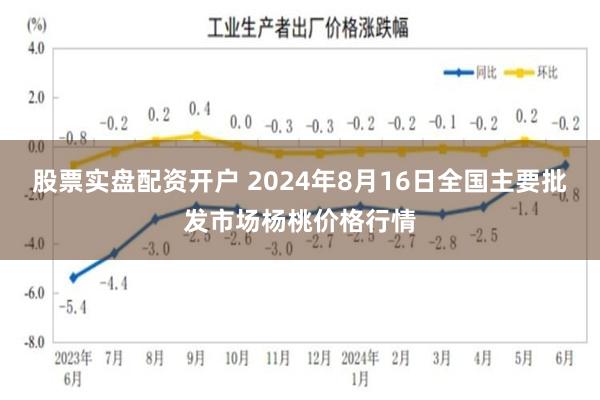 股票实盘配资开户 2024年8月16日全国主要批发市场杨桃价格行情