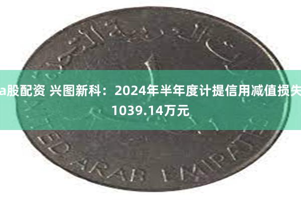 a股配资 兴图新科：2024年半年度计提信用减值损失1039.14万元