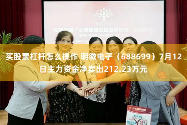 买股票杠杆怎么操作 明微电子（688699）7月12日主力资金净卖出212.23