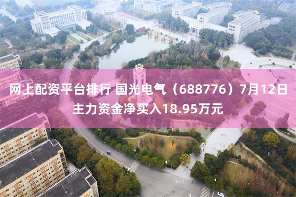 网上配资平台排行 国光电气（688776）7月12日主力资金净买入18.95万元