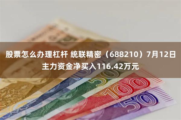 股票怎么办理杠杆 统联精密（688210）7月12日主力资金净买入116.42万