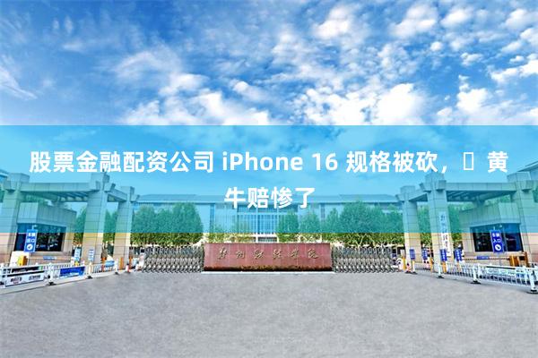 股票金融配资公司 iPhone 16 规格被砍，​黄牛赔惨了