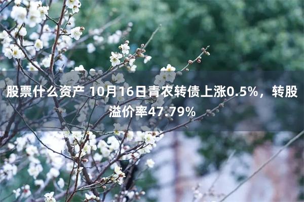 股票什么资产 10月16日青农转债上涨0.5%，转股溢价率47.79%