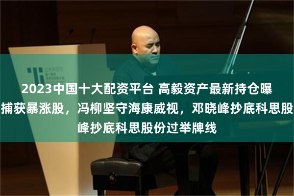 2023中国十大配资平台 高毅资产最新持仓曝光！邱国鹭捕获暴涨股，冯柳坚守海康威