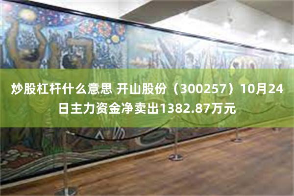 炒股杠杆什么意思 开山股份（300257）10月24日主力资金净卖出1382.8