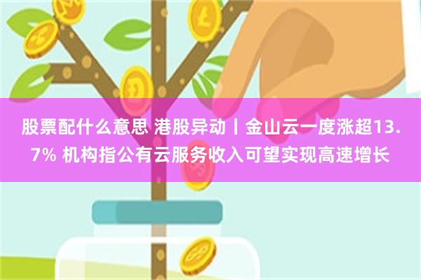 股票配什么意思 港股异动丨金山云一度涨超13.7% 机构指公有云服务收入可望实现高速增长