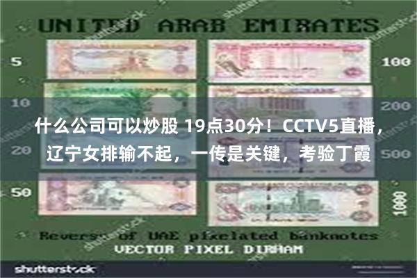 什么公司可以炒股 19点30分！CCTV5直播，辽宁女排输不起，一传是关键，考验