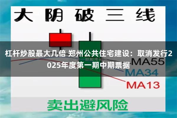 杠杆炒股最大几倍 郑州公共住宅建设：取消发行2025年度第一期中期票据